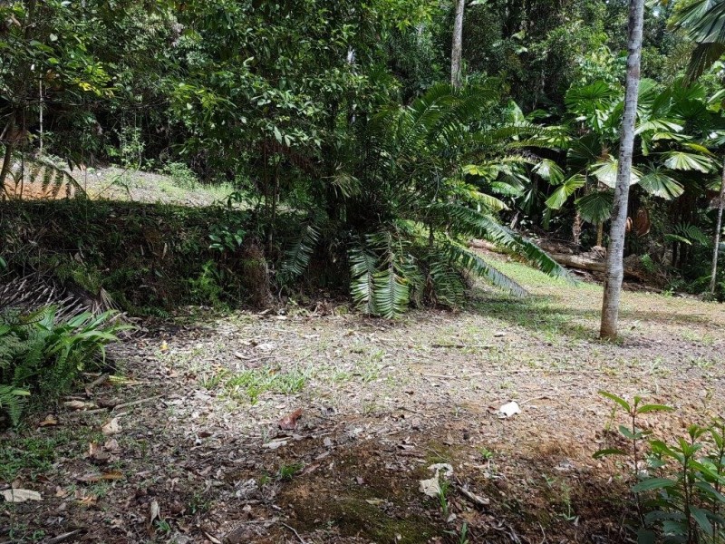 385 Maple Road, Daintree QLD 4873