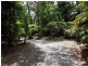 385 Maple Road, Daintree QLD 4873