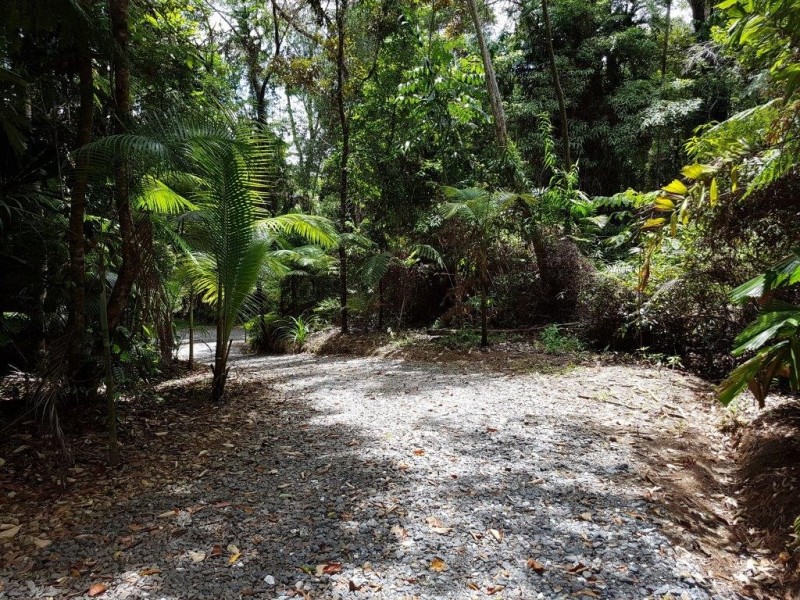 385 Maple Road, Daintree QLD 4873