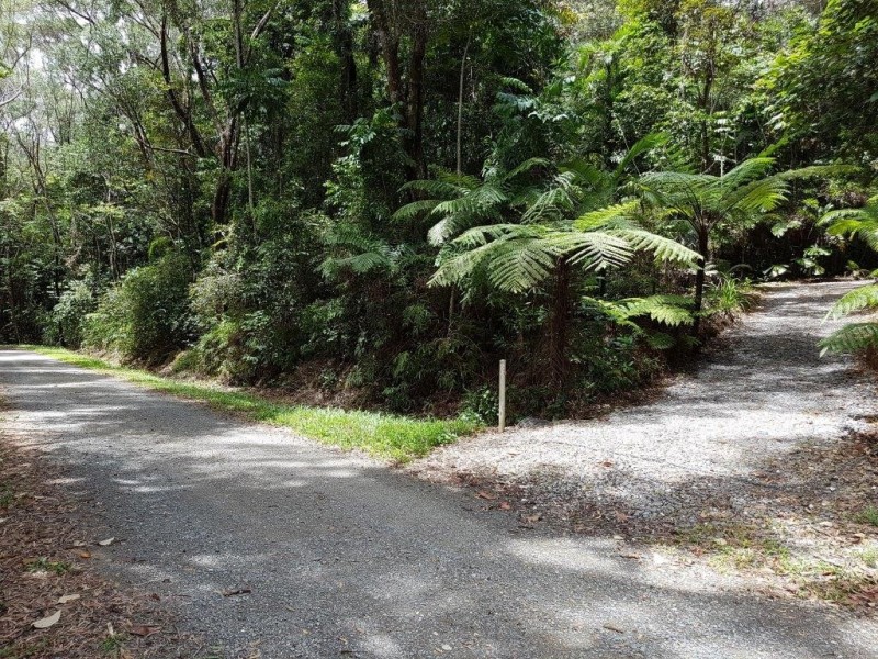 385 Maple Road, Daintree QLD 4873