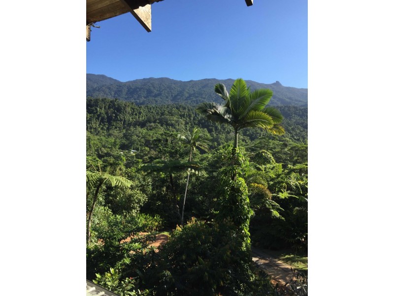 580 Whyanbeel Road, Whyanbeel QLD 4873