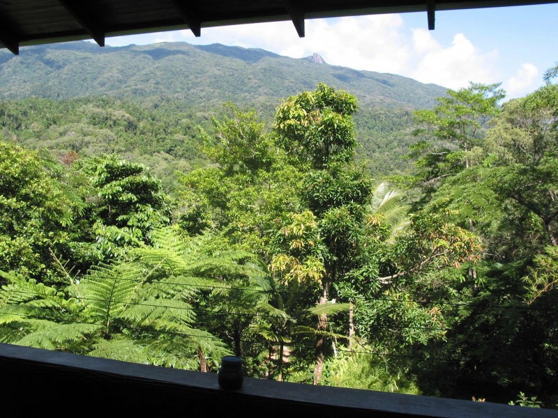 580 Whyanbeel Road, Whyanbeel QLD 4873