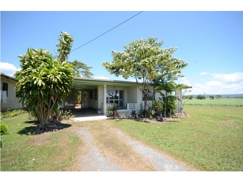 579 MOSSMAN-DAINTREE ROAD, Miallo QLD 4873