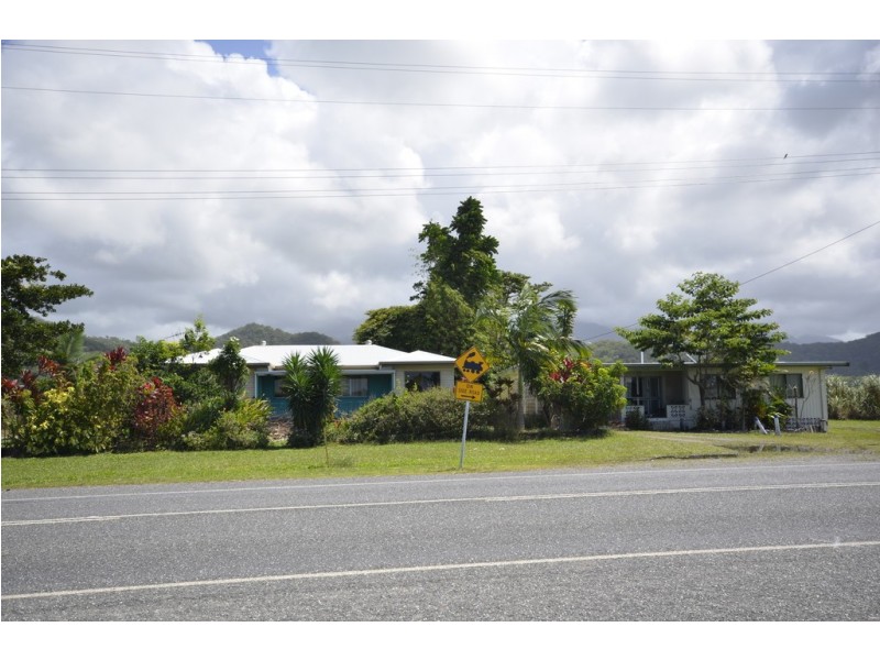 579 MOSSMAN-DAINTREE ROAD, Miallo QLD 4873