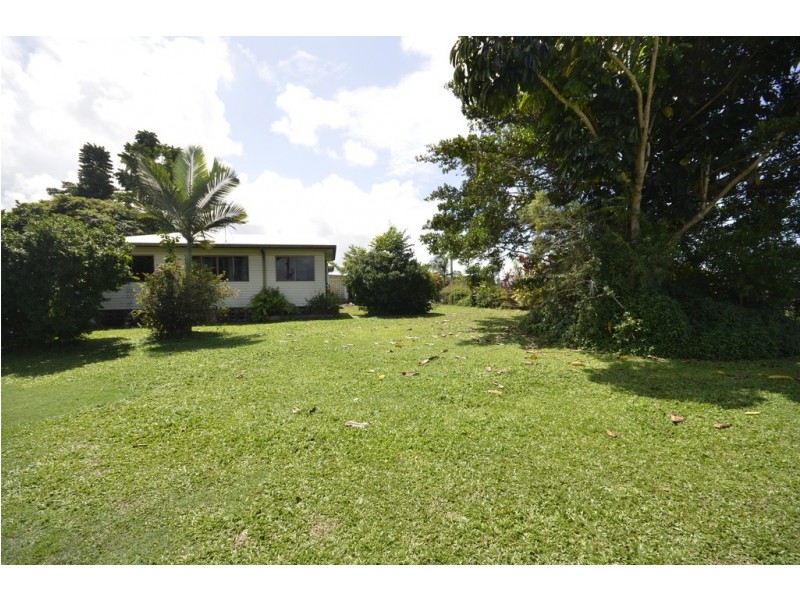 579 MOSSMAN-DAINTREE ROAD, Miallo QLD 4873