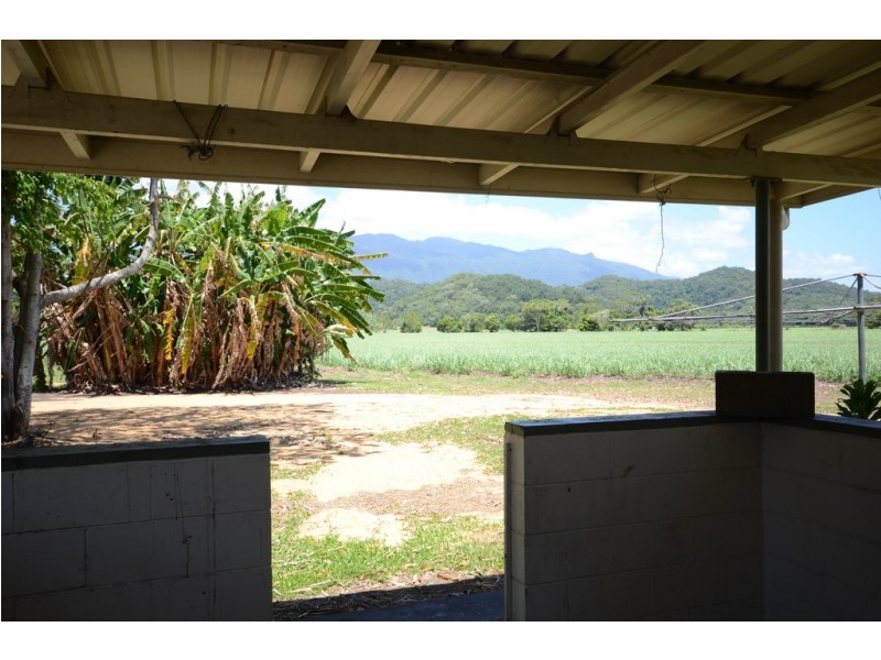 579 MOSSMAN-DAINTREE ROAD, Miallo QLD 4873