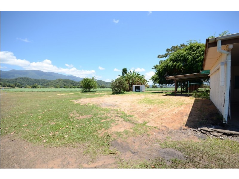 579 MOSSMAN-DAINTREE ROAD, Miallo QLD 4873