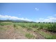 579 MOSSMAN-DAINTREE ROAD, Miallo QLD 4873