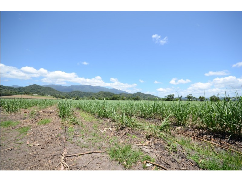 579 MOSSMAN-DAINTREE ROAD, Miallo QLD 4873