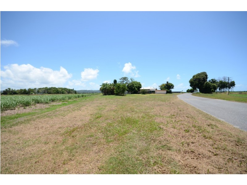 579 MOSSMAN-DAINTREE ROAD, Miallo QLD 4873