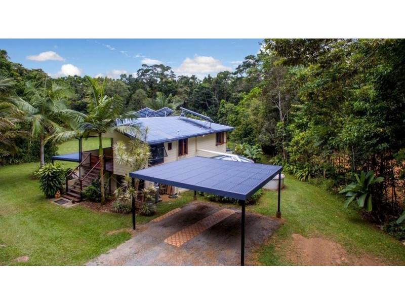 49 Carbeen Road, Daintree QLD 4873