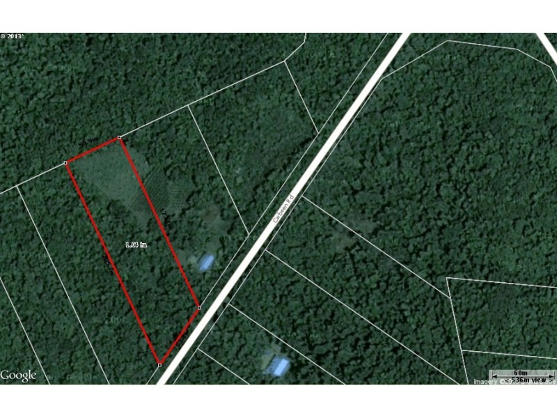 49 Carbeen Road, Daintree QLD 4873
