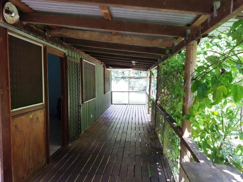 46 Quandong Road, Daintree QLD 4873