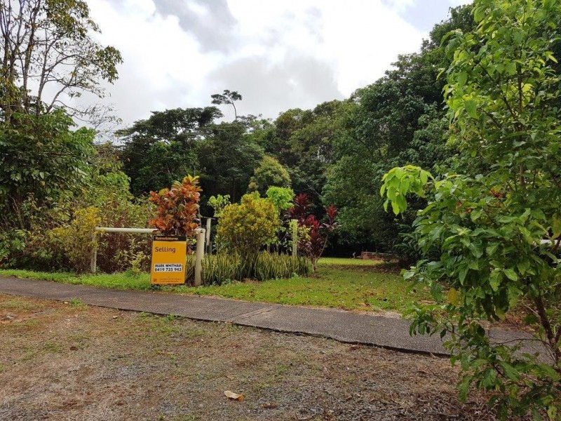 227 Buchanan Creek Road, Daintree QLD 4873