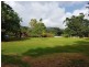 227 Buchanan Creek Road, Daintree QLD 4873