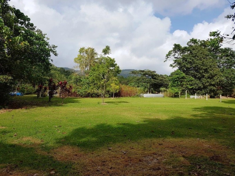 227 Buchanan Creek Road, Daintree QLD 4873