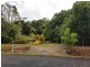 227 Buchanan Creek Road, Daintree QLD 4873