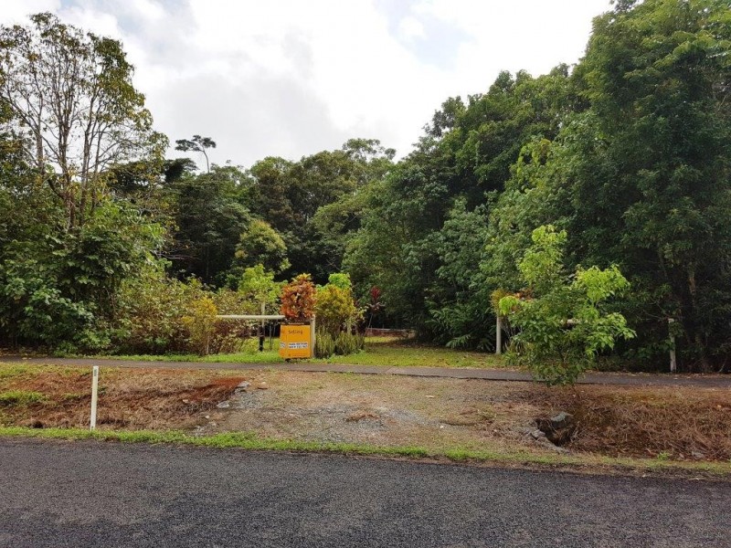 227 Buchanan Creek Road, Daintree QLD 4873