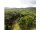 227 Buchanan Creek Road, Daintree QLD 4873