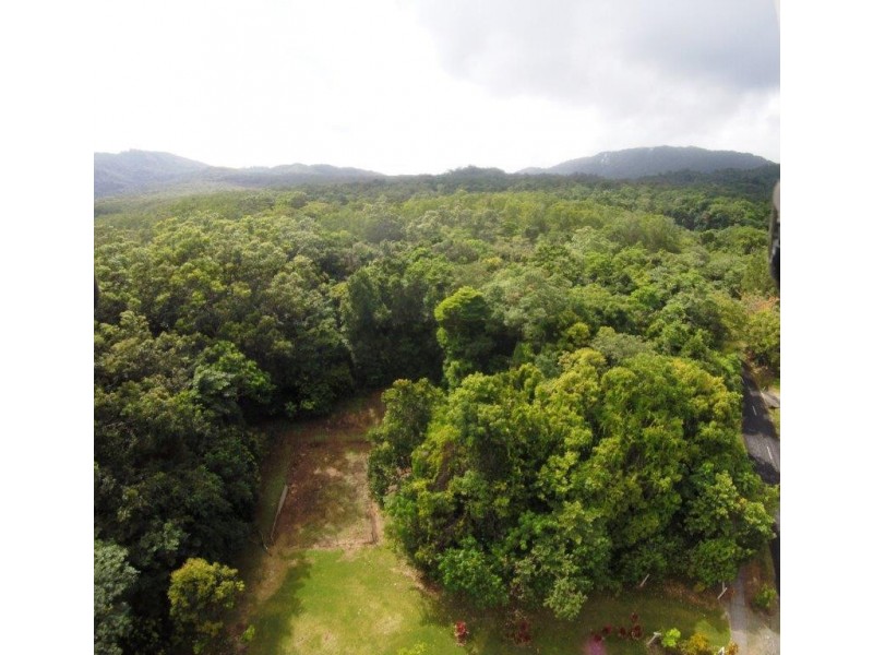 227 Buchanan Creek Road, Daintree QLD 4873
