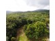 227 Buchanan Creek Road, Daintree QLD 4873