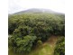 227 Buchanan Creek Road, Daintree QLD 4873