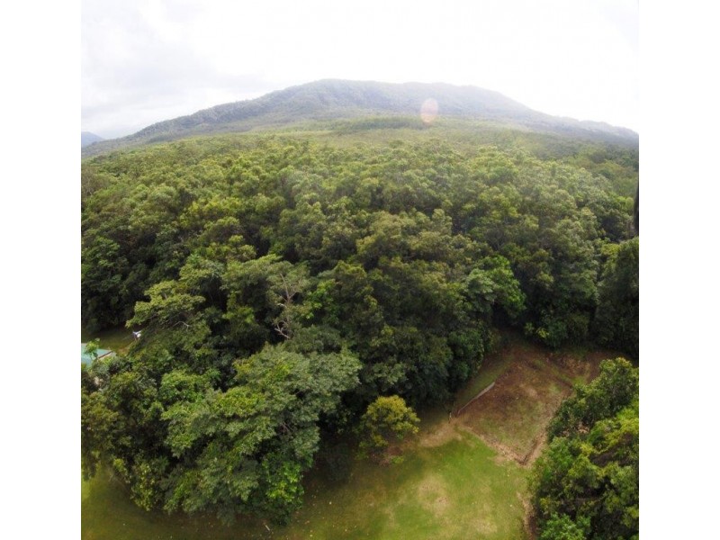 227 Buchanan Creek Road, Daintree QLD 4873