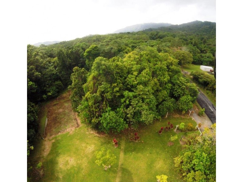 227 Buchanan Creek Road, Daintree QLD 4873
