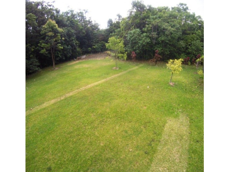 227 Buchanan Creek Road, Daintree QLD 4873