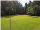 227 Buchanan Creek Road, Daintree QLD 4873
