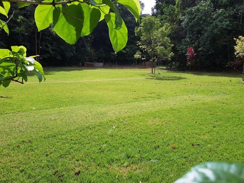 227 Buchanan Creek Road, Daintree QLD 4873