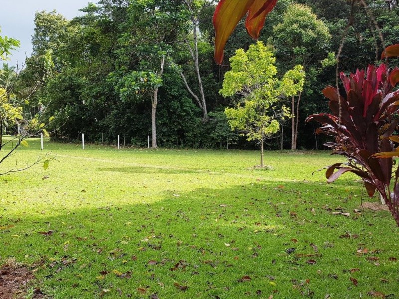 227 Buchanan Creek Road, Daintree QLD 4873