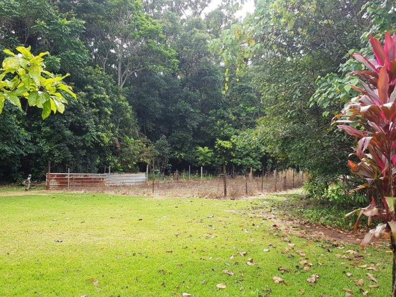 227 Buchanan Creek Road, Daintree QLD 4873