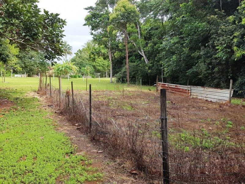 227 Buchanan Creek Road, Daintree QLD 4873