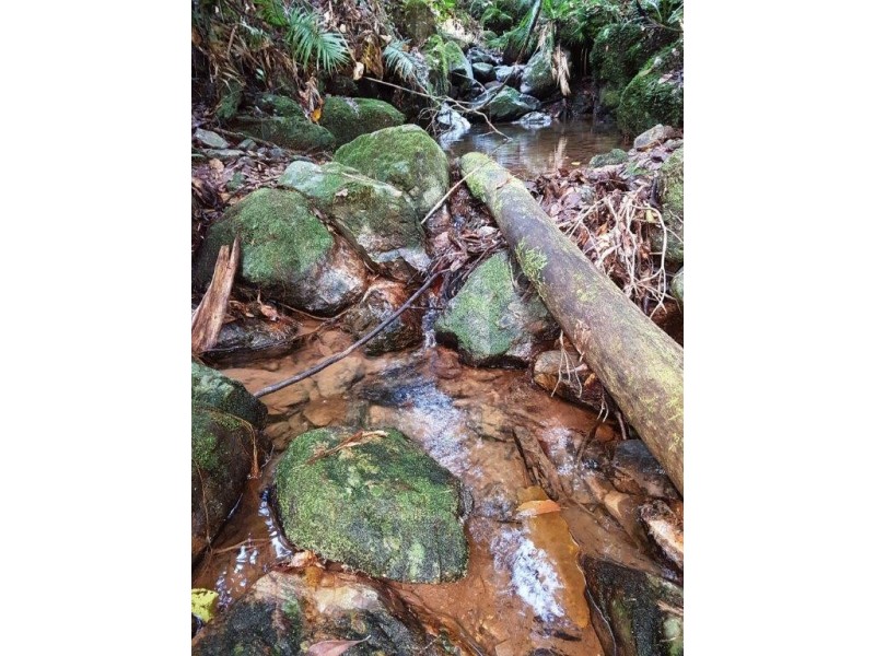 118 Maple Rd Cow Bay, Daintree QLD 4873