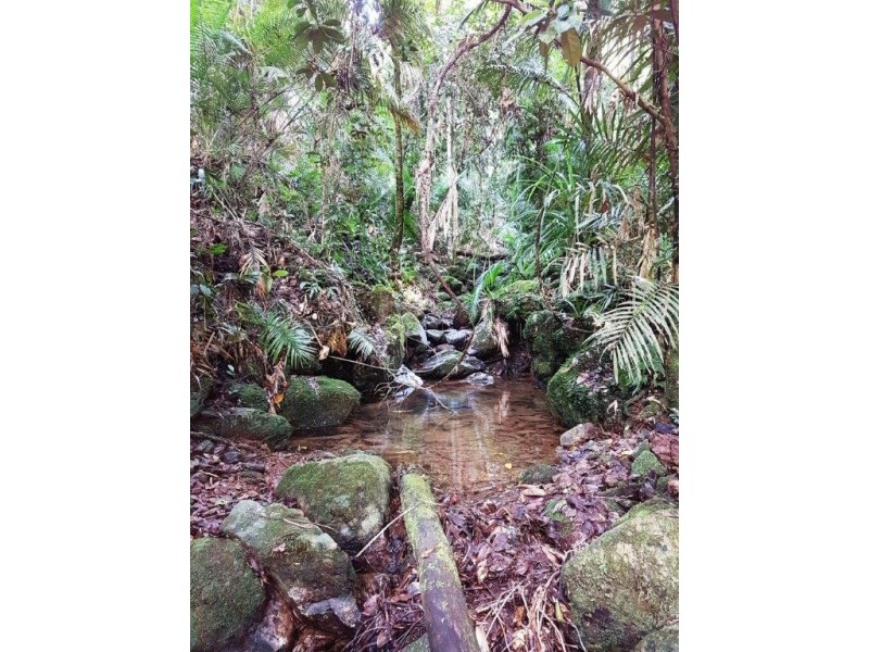 118 Maple Rd Cow Bay, Daintree QLD 4873
