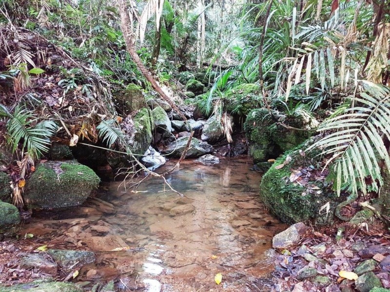 118 Maple Rd Cow Bay, Daintree QLD 4873