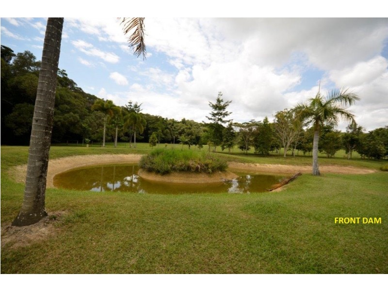 244 CLACHERTY ROAD, Julatten QLD 4871
