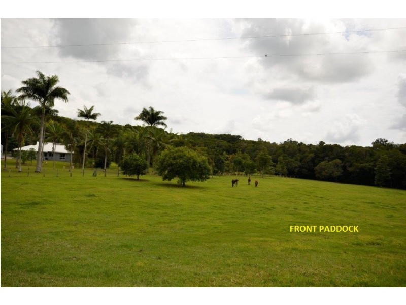 244 CLACHERTY ROAD, Julatten QLD 4871