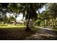 244 CLACHERTY ROAD, Julatten QLD 4871