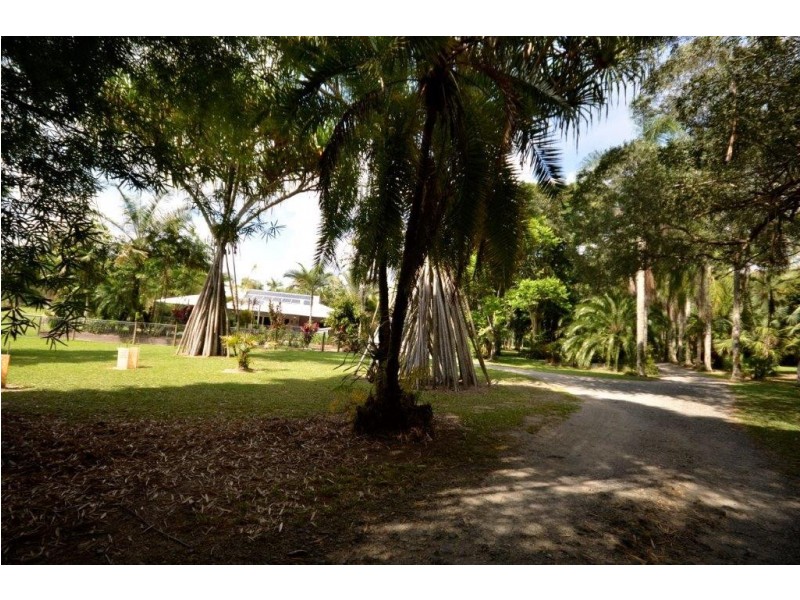244 CLACHERTY ROAD, Julatten QLD 4871
