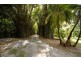 244 CLACHERTY ROAD, Julatten QLD 4871