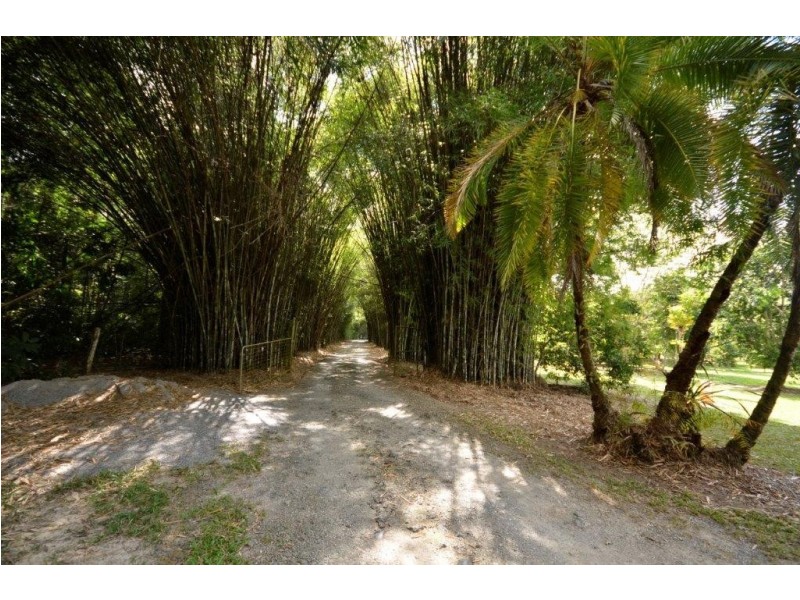 244 CLACHERTY ROAD, Julatten QLD 4871