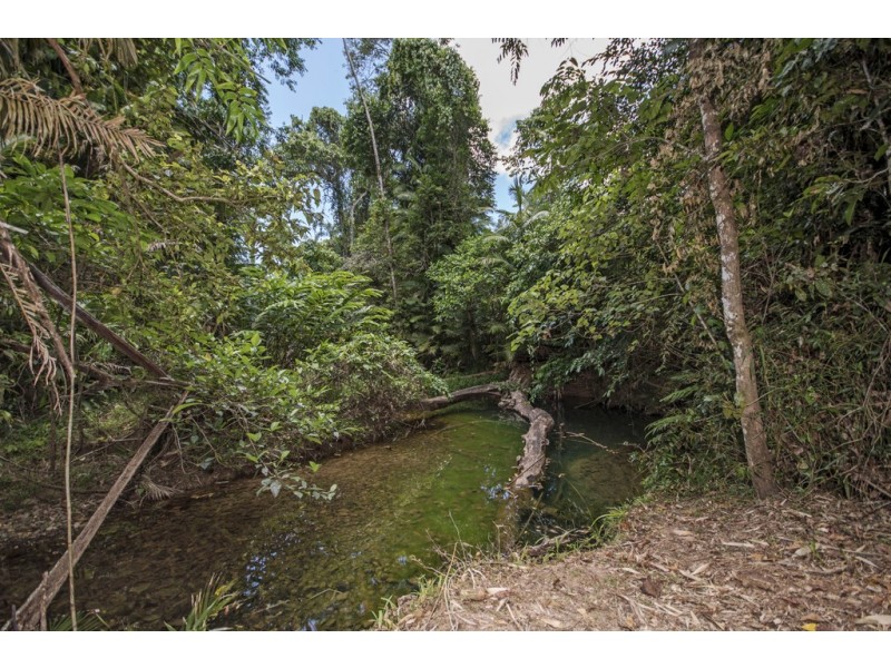 1780 Cape Trib Rd (Daintree Wilderness Lodge), Daintree QLD 4873