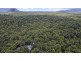 1780 Cape Trib Rd (Daintree Wilderness Lodge), Daintree QLD 4873