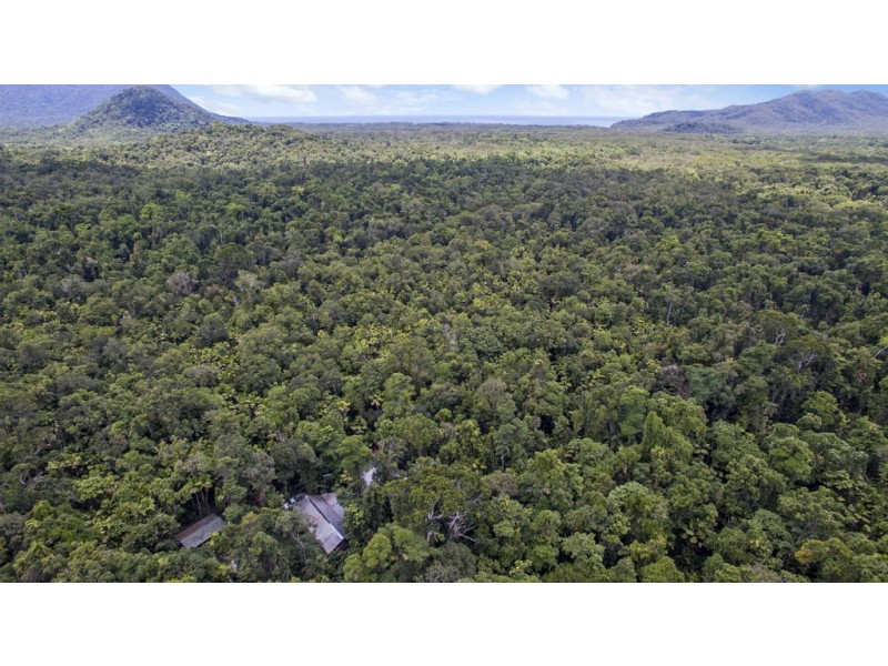 1780 Cape Trib Rd (Daintree Wilderness Lodge), Daintree QLD 4873