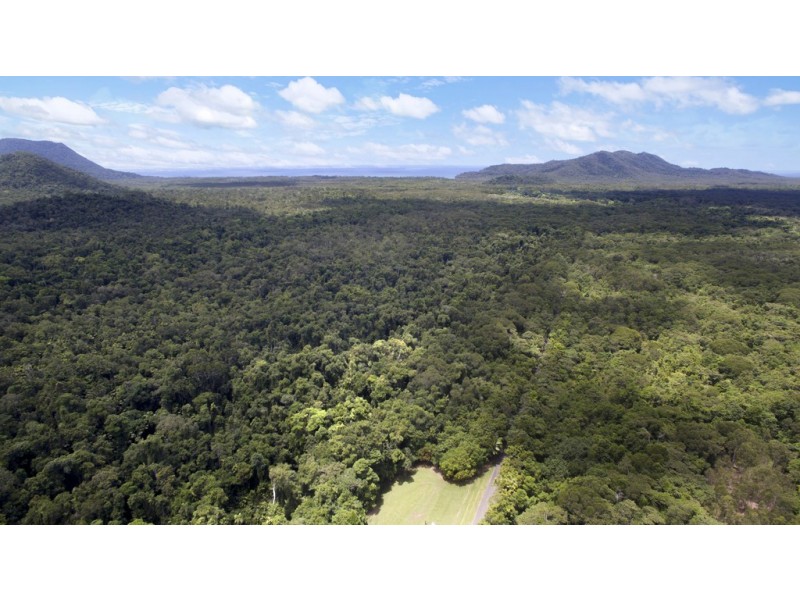 1780 Cape Trib Rd (Daintree Wilderness Lodge), Daintree QLD 4873