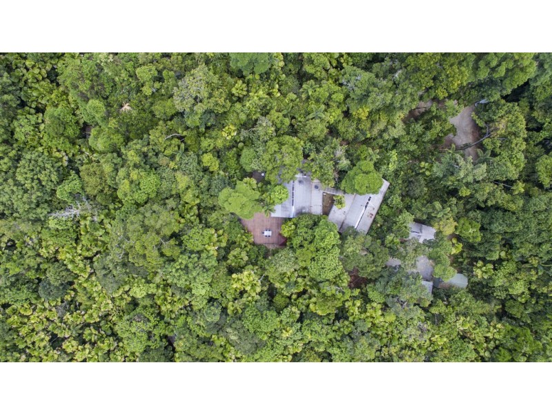 1780 Cape Trib Rd (Daintree Wilderness Lodge), Daintree QLD 4873