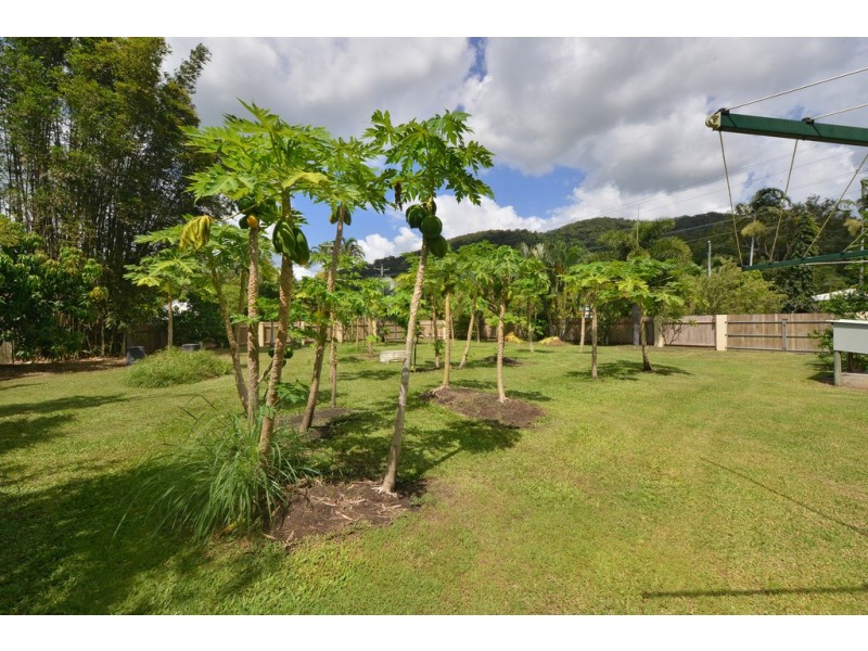51 Marlin Drive, Wonga Beach QLD 4873