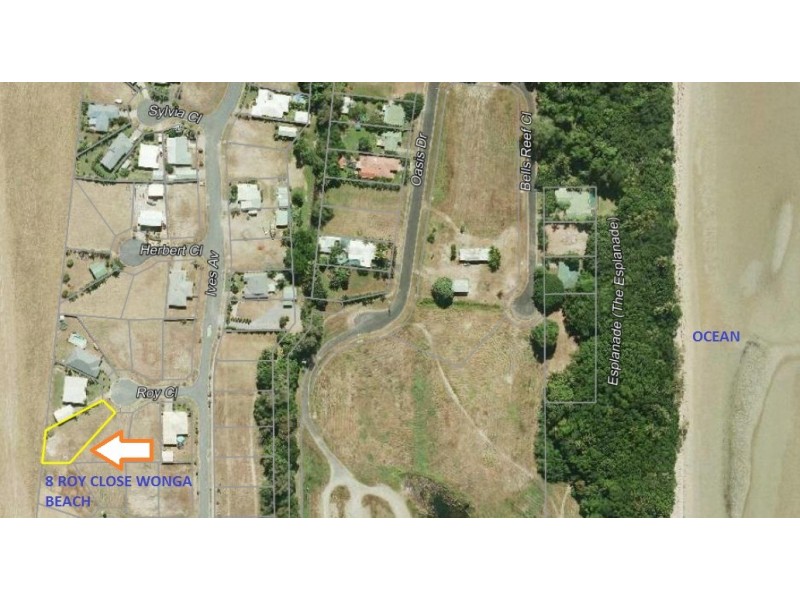 8 Roy Close, Wonga Beach QLD 4873
